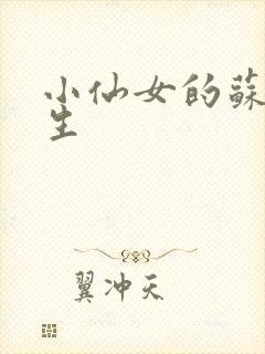 小仙女的苏撩先生