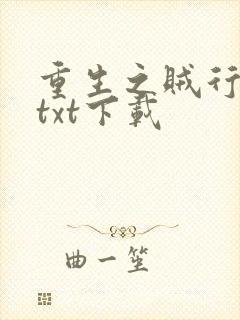 重生之贼行天下txt下载