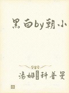 黑白by朝小诚
