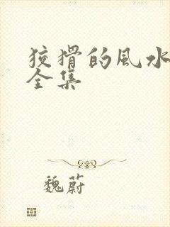 狡猾的风水相师全集