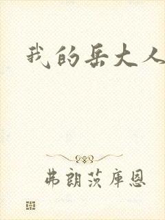 我的岳大人吴芬