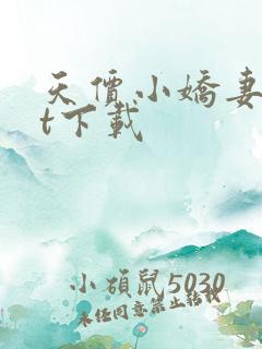 天价小娇妻txt下载