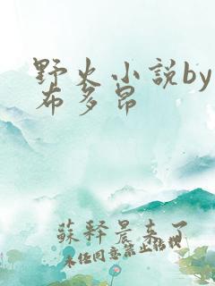 野火小说by夏布多昂