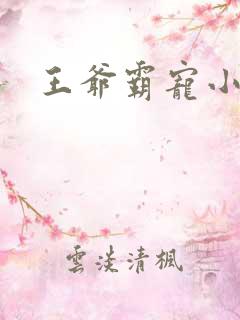 王爷霸宠小甜妻