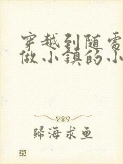 穿越到随处可以做小镇的小说