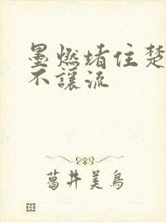 墨燃堵住楚晚宁不让流
