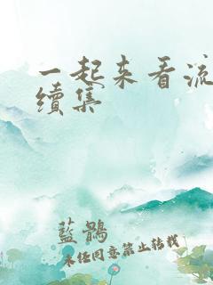 一起来看流星雨续集
