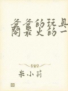 爸爸的玩具笔趣阁最火的一句