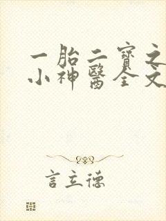 一胎二宝之弃妃小神医全文免费阅读