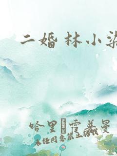 二婚 林小染