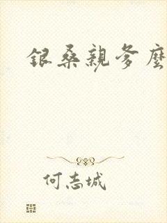 银桑亲爹么么哒