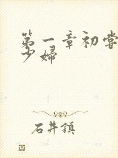 第一章初尝云雨少妇