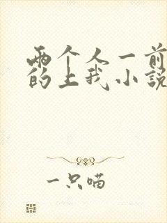 两个人一前一后的上我小说