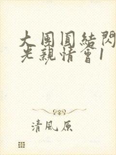 大团圆结闪闪发光亲情会1