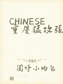 CHINESE重庆猛攻张先生