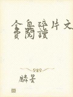 全息碎片文轩免费阅读