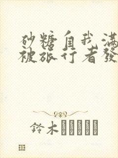 砂糖自我满足时被旅行者发现小说