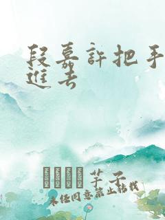 段嘉许把手探了进去