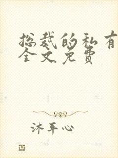 总裁的私有宝贝全文免费