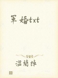 军婚txt