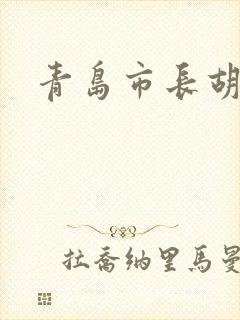 青岛市长胡学峰