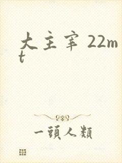 大主宰 22mt