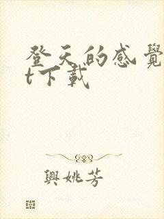 登天的感觉txt下载