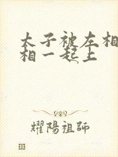 太子被左相和右相一起上