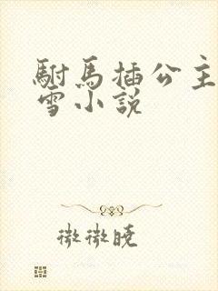 驸马插公主恋战雪小说