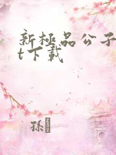 新极品公子txt下载