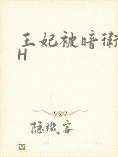 王妃被暗卫肉高H