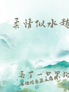 柔情似水赵雅儿