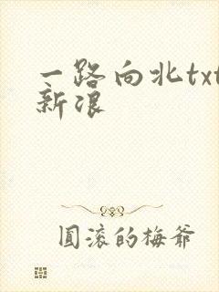 一路向北txt新浪