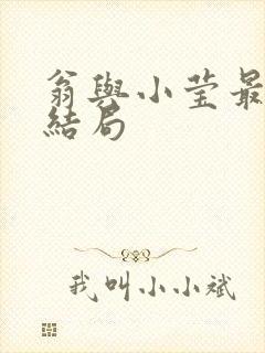 翁与小莹最新大结局