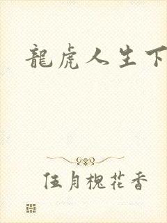 龙虎人生下载