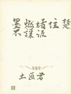 墨燃堵住楚晚宁不让流