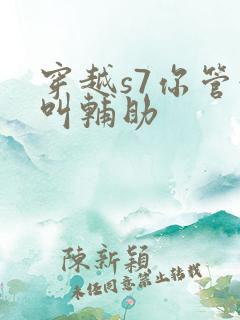 穿越s7你管这叫辅助