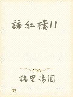 诱红楼11