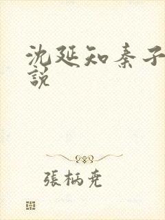 沈延知秦子卿小说