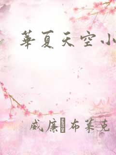 华夏天空小说网