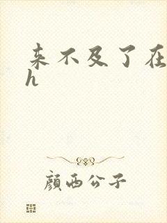 来不及了在车ch