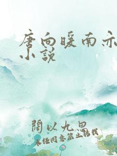 唐向暖南亦琛的小说