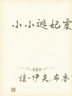 小小逃妃震江山