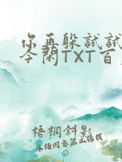 你再躲试试BY今闲TXT百度网盘