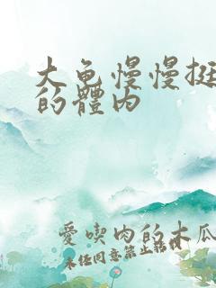 大龟慢慢挺进我的体内