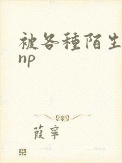 被各种陌生人 np