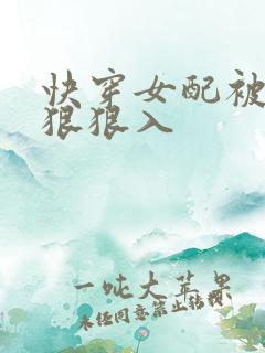 快穿女配被男主狠狠入