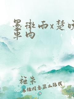 墨微雨x楚晚宁车肉