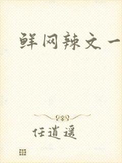 鲜网辣文一对一