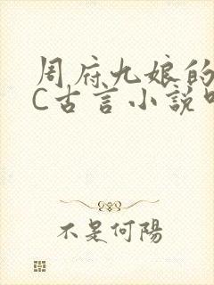 周府九娘的NPC古言小说叫什么